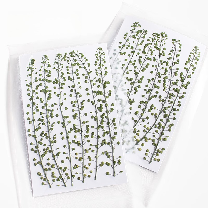 Natural Color Green Bell Grass - огляд і ціна Resin Craft Ideas