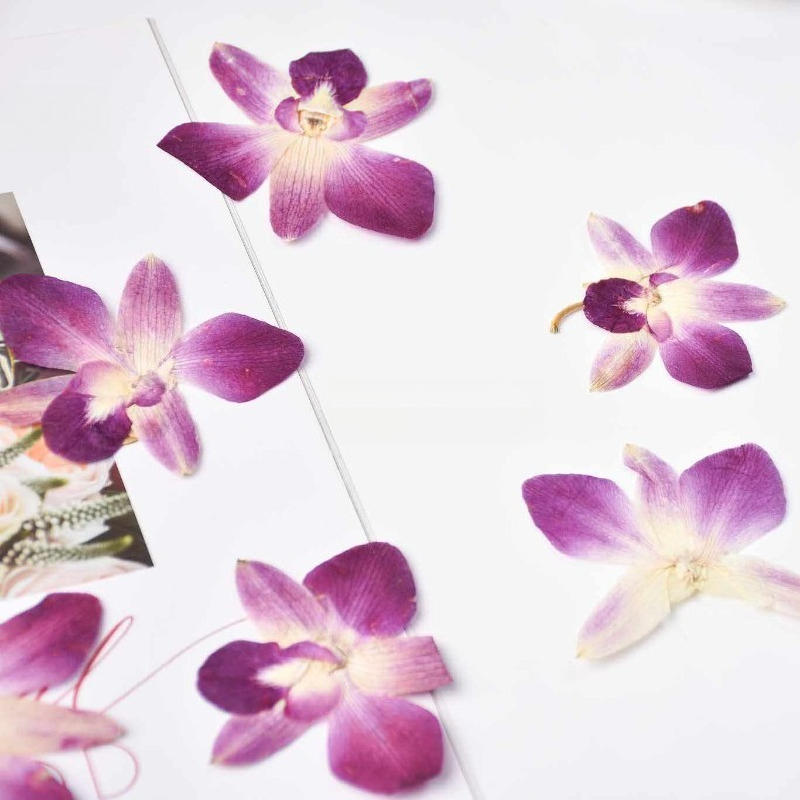 4pcs,Real Pressed Butterfly Or - огляд і ціна Resin Craft Ideas