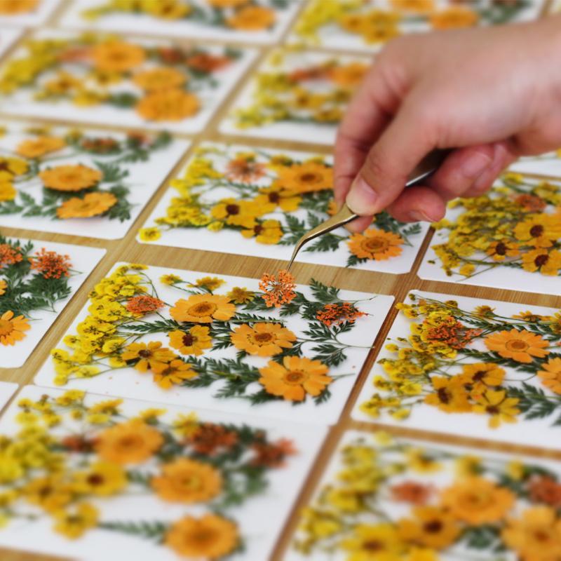 Real Natural Pressed Dried Pla - огляд і ціна Resin Craft Ideas