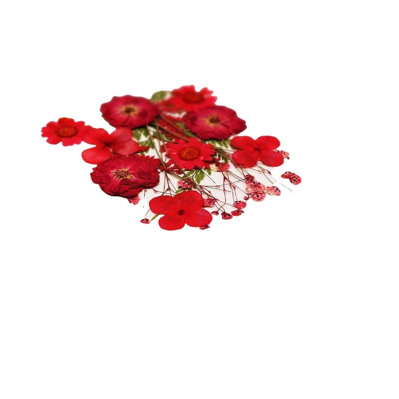 Real Natural Pressed Dried Pla - огляд і ціна Resin Craft Ideas