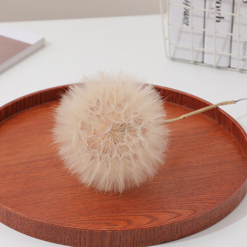 Preserved Dandelion DIY Epoxy  - огляд і ціна Resin Crafts Diy