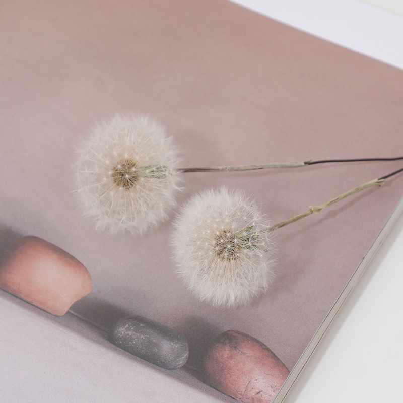 Preserved Dandelion DIY Epoxy  - огляд і ціна Resin Crafts Diy