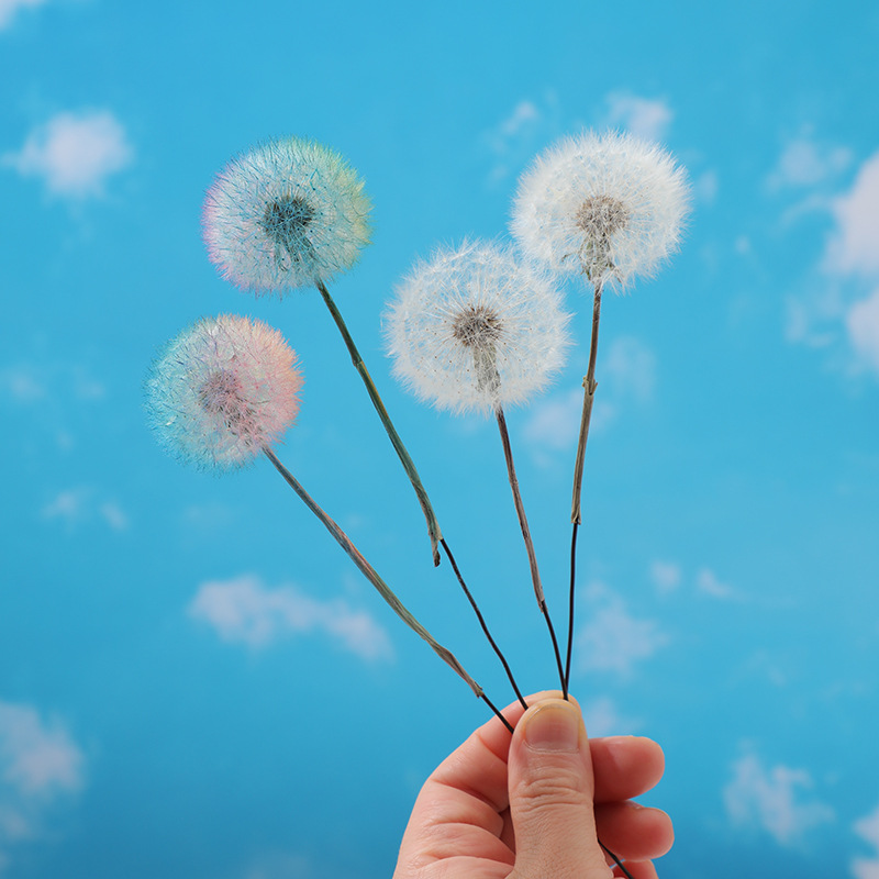 Preserved Dandelion DIY Epoxy  - огляд і ціна Resin Crafts Diy