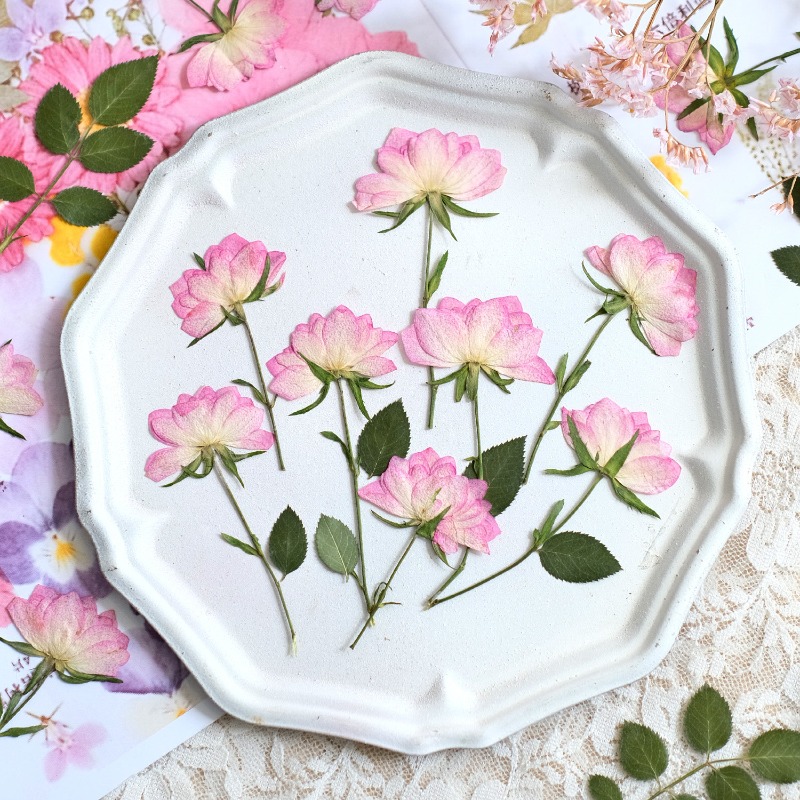 12pcs,Real Dried Pressed Flowe - огляд і ціна Resin Craft Ideas