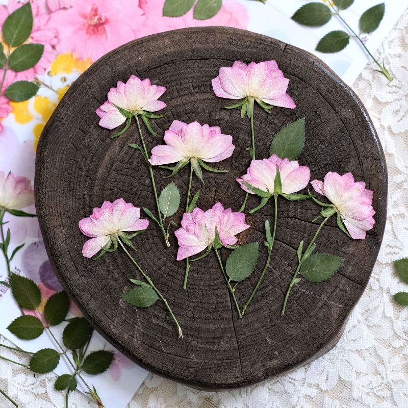 12pcs,Real Dried Pressed Flowe - огляд і ціна Resin Craft Ideas