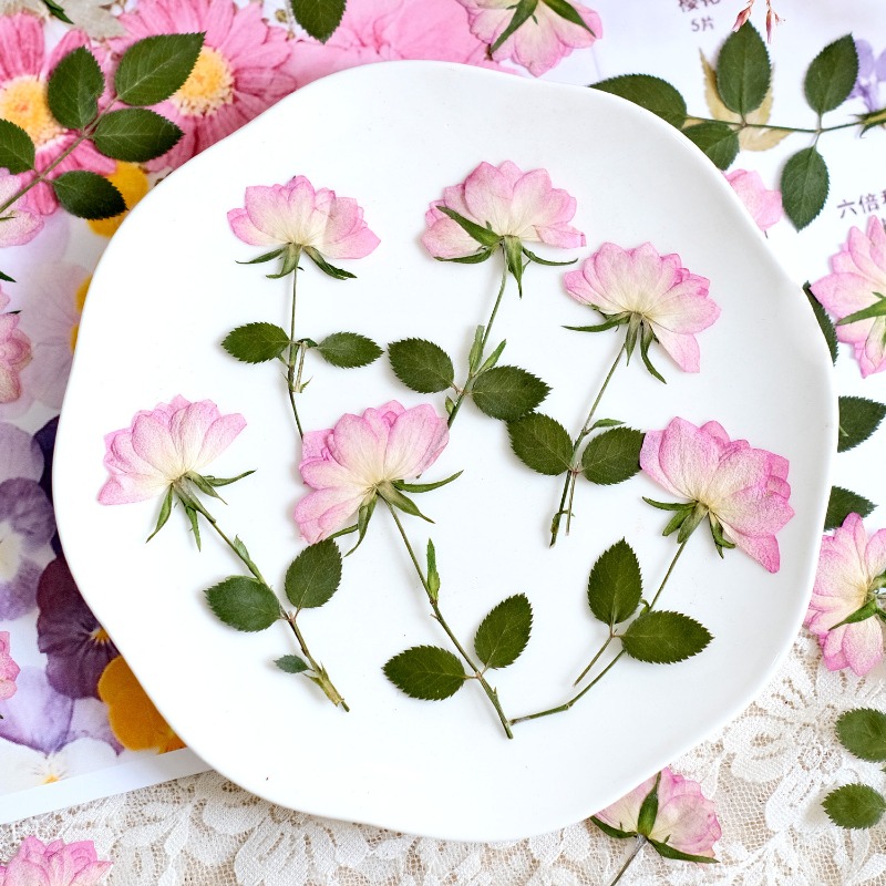12pcs,Real Dried Pressed Flowe - огляд і ціна Resin Craft Ideas