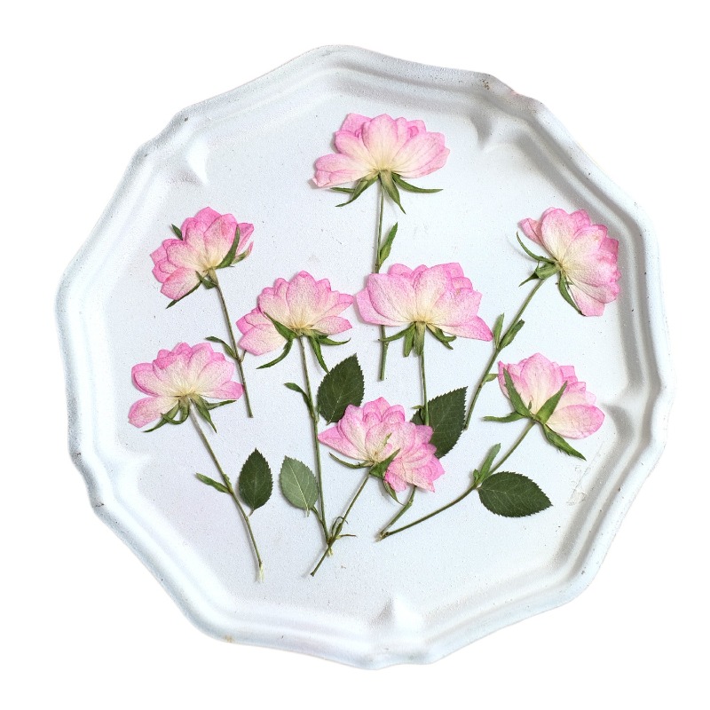 12pcs,Real Dried Pressed Flowe - огляд і ціна Resin Craft Ideas